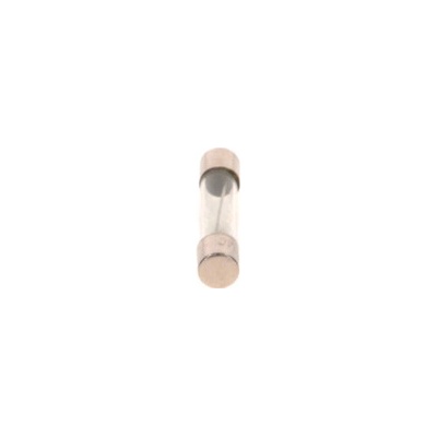 Poistka BOSCH 1 987 529 904