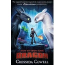 How to Train Your Dragon