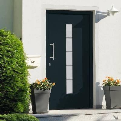 VidaXL Marketos Vchodové dveře hliník a PVC antracitové 110 x 210 cm