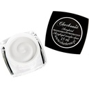 Charbonné pudr Acryl Clear čirý 15 ml