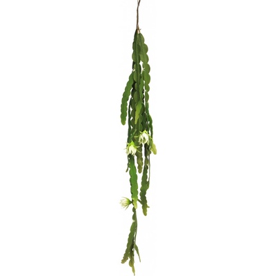 Kaktus květ - Flower cactus krémový Délka 100 cm