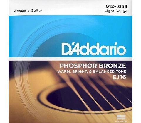 D'addario EJ16