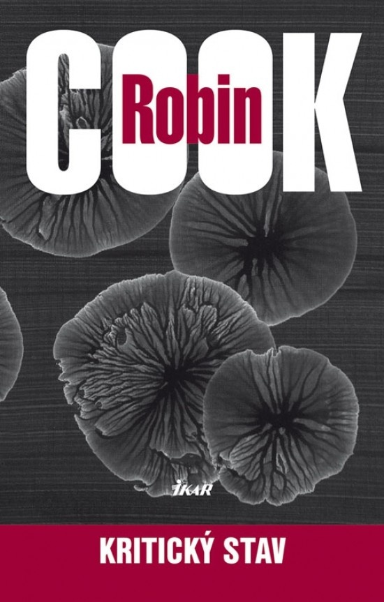 Kritický stav - Robin Cook