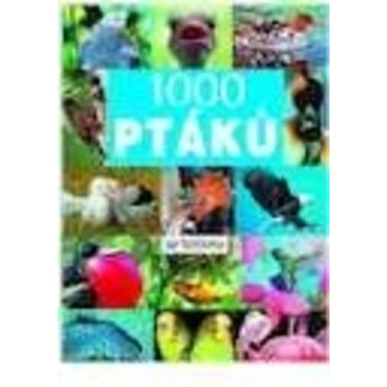 1000 ptáků -