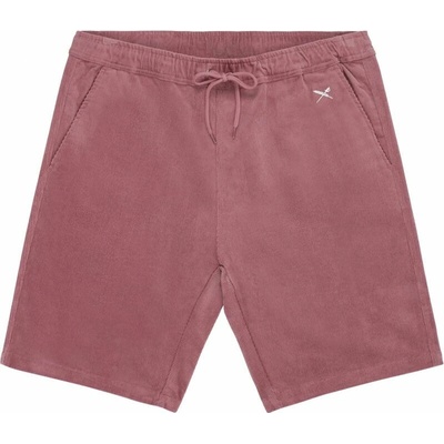 Iriedaily Corvin plum