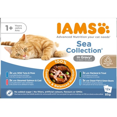 Iams Delights Adult sea mix v omáčce 24 x 85 g