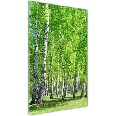 Vertikálny foto obraz fotografie na skle Brezový les 50x100 cm