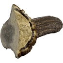 Chew Jelení paroh midi 80-100 g