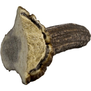 Chew Jelení paroh midi 80-100 g