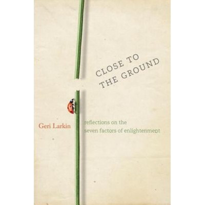 Close to the Ground | Geri Larkin