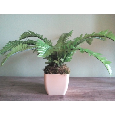 Umelá rastlina- Papraď 40 cm