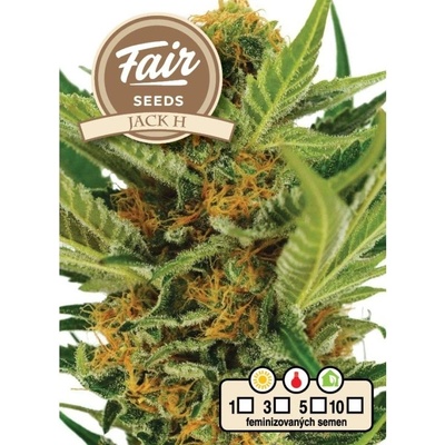 Fair Seeds Jack H semena neobsahují THC 10 ks
