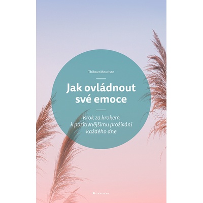 Jak ovládnout své emoce