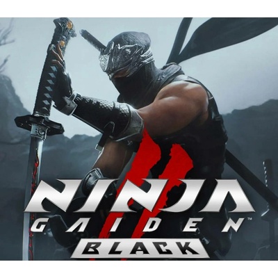 Ninja Gaiden 2 Black