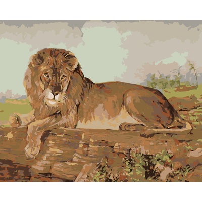 ZUTY Maľovanie podľa čísel LEV NA SAVANE Rámovanie vypnuté plátno na rám Rozmer 80 x 100 cm