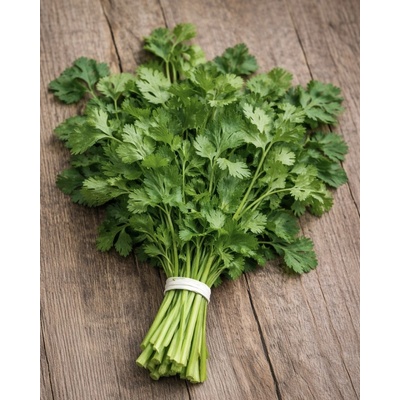 SEMO Koriandr 2 g – Hledejceny.cz