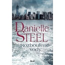 Rozbouřené vody - Steel Danielle