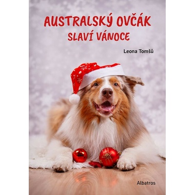 Australský ovčák slaví Vánoce