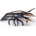 Papo lobster