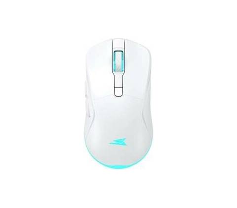 Baracuda TURTLE White TURTLE-W