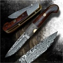 Dellinger SISSO Sentinell VG10