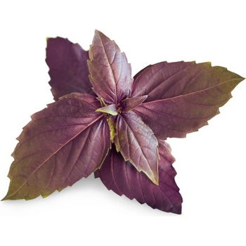 VÉritable (Франция) Пълнител (лингот) Purple Basil Organic за настолна градина Véritable® - лилав босилек (VLIN-O10-Bas00F)