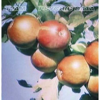 Psychic Data - TVAM CD