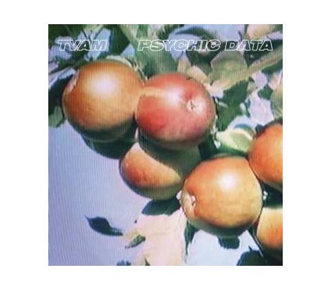 Psychic Data - TVAM CD