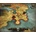 Divinity: Dragon Commander