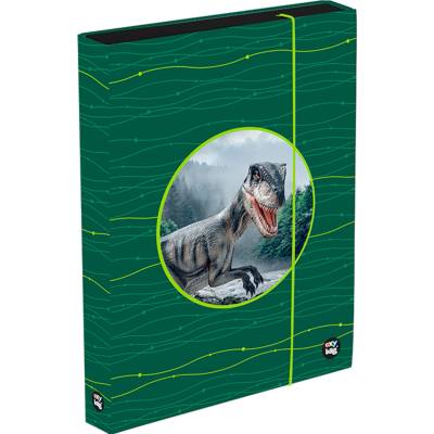 Karton P+P A4 Jumbo Oxy Sherpy Green