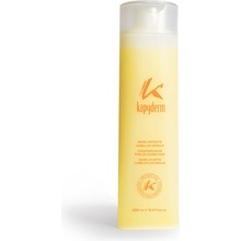 Kapyderm šampon pro barvené vlasy 250 ml