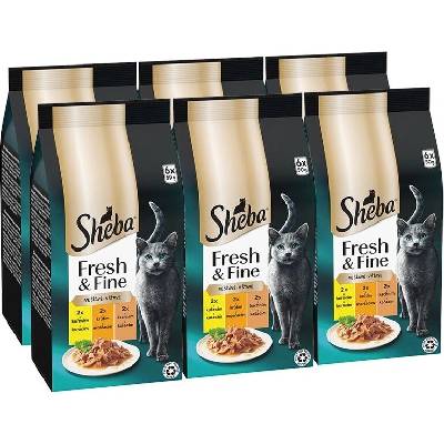 Sheba Fresh & Fine kuřecí a krůtí 36 x 50 g