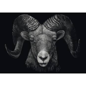 Schmidt Spiele - Puzzle Ashley Rader: Dominance - Aries, In the Sign of Fire - 1 000 piese