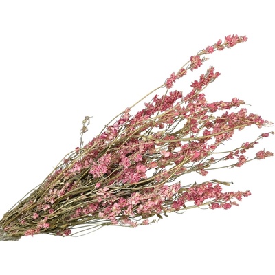 Sušené kvety Delphinium Stračonôžka 100g - ružová