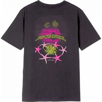 Santa Cruz Natural Bridges T-Shirt Black Wash