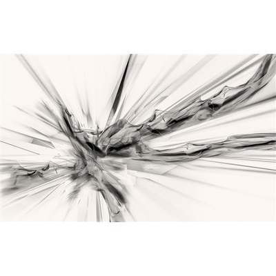 IMPOL TRADE 3540 VE L Vliesová fototapeta abstrakcie čierno-biela rozmer 152,5 cm x 104 cm
