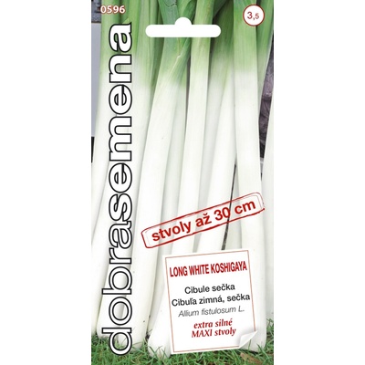 CIBUĽA OZIMNÁ Long White Koshigaya sečka
