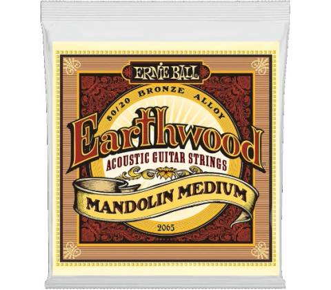 Ernie Ball 2065