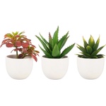 Bizzotto ИЗКУСТВЕНО РАСТЕНИЕ CATHRYN 10, 3x16 cm ЗЕЛЕНО (0172796)