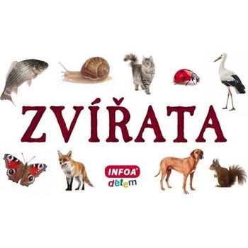 Zvířata