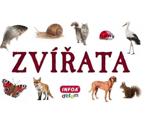 Zvířata