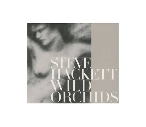 HACKETT STEVE: WILD ORCHIDS CD