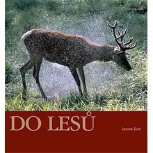 Do lesů - Jaromír Zumr