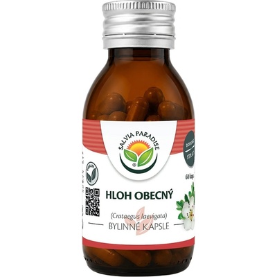 Salvia Paradise Hloh obecný kapsle 60 ks