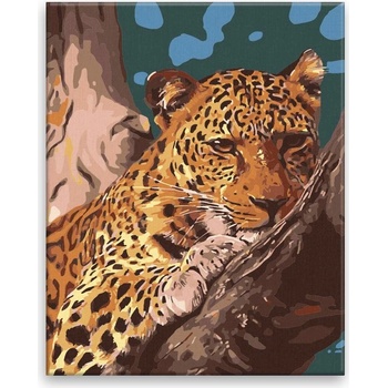 Maľovanie podľa čísel Číhajúci gepard