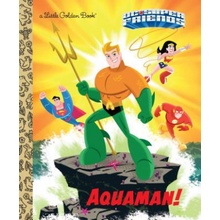 Aquaman! DC Super Friends Berrios Frank