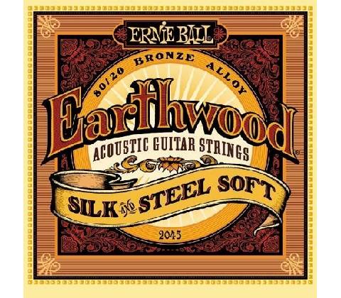 Ernie Ball 2045