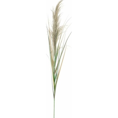 Rákosová větvička cibulová 180 cm