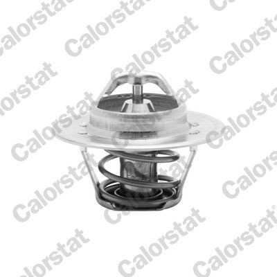 Termostat, chladivo CALORSTAT BY VERNET TH5504.88J