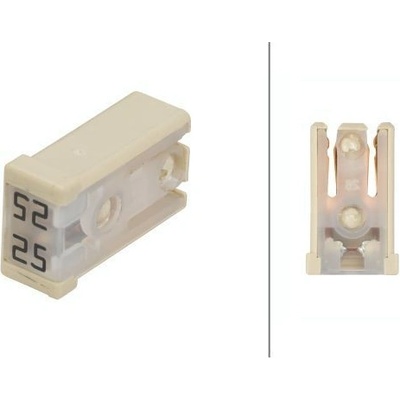 Poistka HELLA 8JS 218 228-031